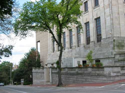 A tree stands beside a stone building with large windows, set on a quiet street with greenery in the background.