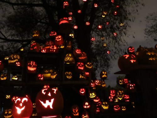 A spooky display of carved pumpkins with glowing faces, set against a dark, tree-filled background.