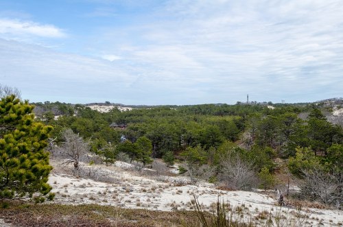 A scenic view of a sandy landscape with scattered trees and a cloudy sky in the background.