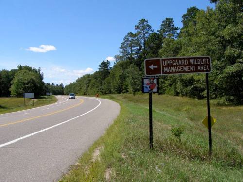 A road sign directing to Uppaard Wildlife Management Area, with a winding road and trees in the background.