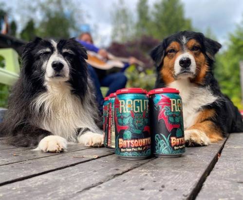 Two dogs sit on a wooden deck beside colorful beer cans, with a person playing guitar in the background.