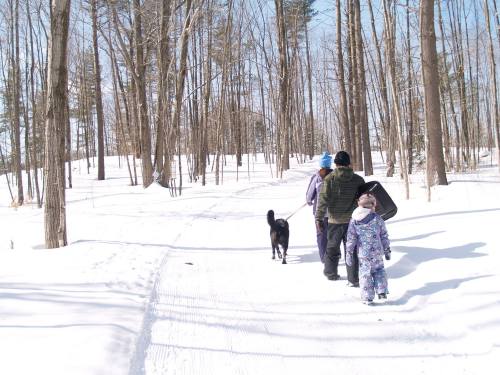 A family walks through a snowy forest trail with a dog, surrounded by tall trees and a winter landscape.