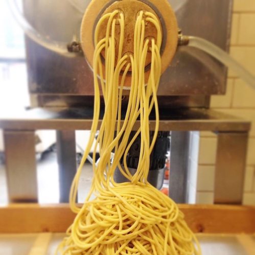 A close-up of freshly made pasta strands flowing from a pasta machine.