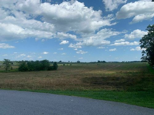 A wide open field under a blue sky with fluffy clouds, bordered by trees and a paved road in the foreground.