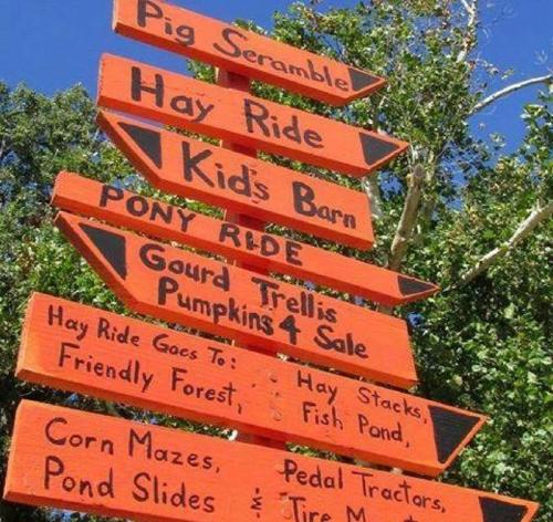 Colorful wooden signpost with arrows pointing to various attractions: Pig Scramble, Hay Ride, Pony Ride, and more.