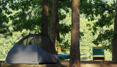 A gray tent set up among trees, with a wooden chair nearby and a lush green background.