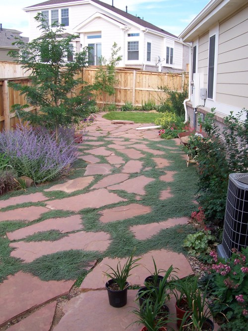 A garden path made of stone slabs, surrounded by greenery and flowers, leading through a residential backyard.