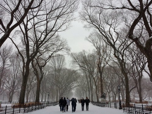 A snowy path in a park with bare trees, as people walk together in the winter landscape.