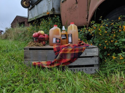 A wooden crate with apples and jugs of apple cider sits in a grassy field near an old truck and colorful flowers.