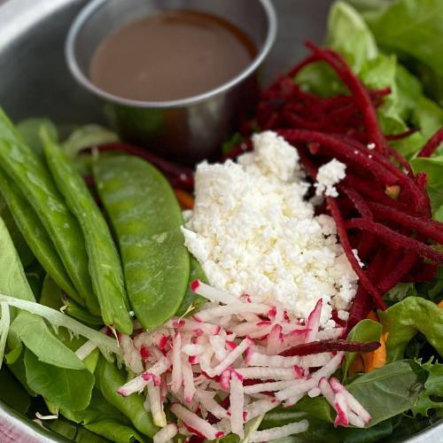 A fresh salad with greens, radishes, beets, and a small bowl of dressing on the side.