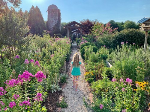 A girl walks down a flower-lined path in a vibrant garden, surrounded by colorful blooms and greenery.
