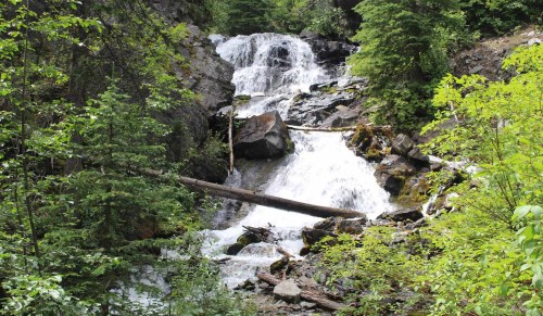 A serene waterfall cascades over rocks, surrounded by lush green trees and foliage.