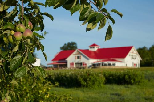 A red-roofed barn surrounded by greenery, with apple branches in the foreground.