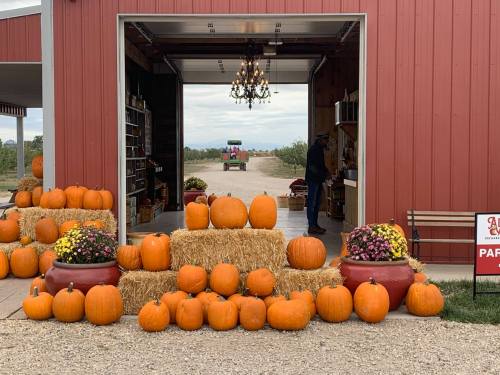 A rustic barn entrance with pumpkins, hay bales, and flowers, set against a backdrop of an orchard and a tractor.