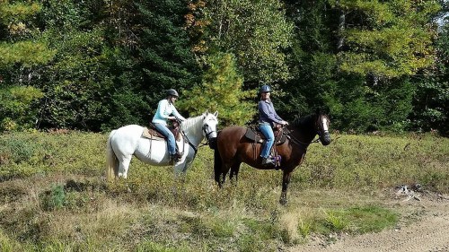 Two riders on horseback, one on a white horse and the other on a brown horse, surrounded by trees and greenery.