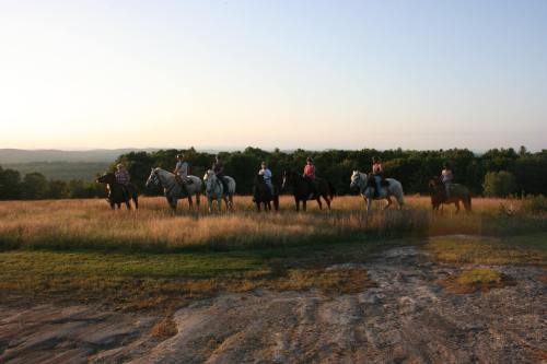 A group of riders on horseback stands in a field at sunset, with rolling hills and trees in the background.