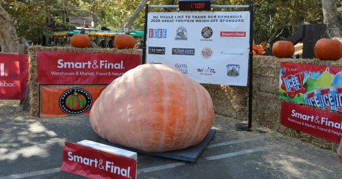 A large pumpkin sits on display at a weigh-off event, with sponsor banners and hay bales in the background.