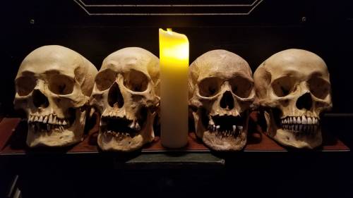 Four human skulls arranged in a row with a lit candle in the center, creating a somber, eerie atmosphere.