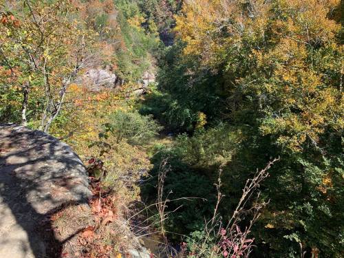 A scenic view of a lush, green valley surrounded by trees with autumn foliage.