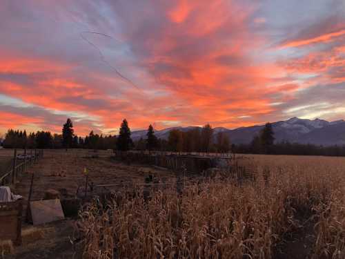 A vibrant sunset paints the sky in shades of orange and pink over a rural landscape with mountains and cornfields.