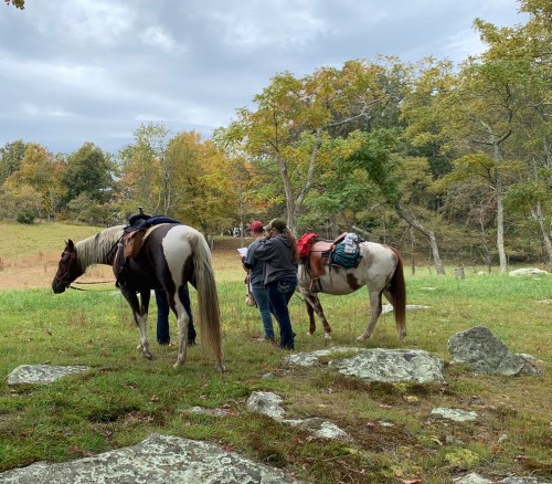 Two people with horses in a grassy area, surrounded by trees and rocks, under a cloudy sky.