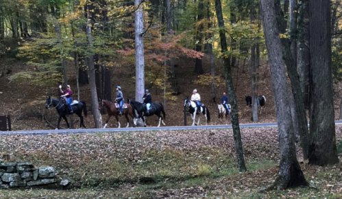 A group of six people on horseback riding along a tree-lined path covered in autumn leaves.