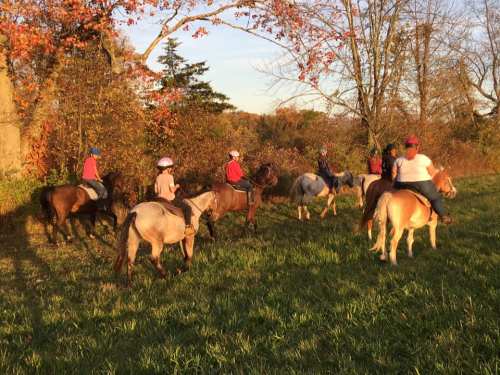 A group of people riding horses through a grassy area with trees and autumn foliage in the background.