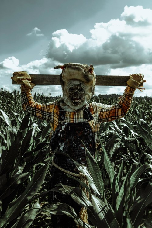 A scarecrow with a skull mask holds a wooden beam, standing among tall corn plants under a cloudy sky.