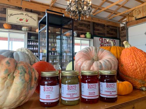 A display of jars labeled "Adam's Apple" in front of colorful pumpkins and gourds in a rustic setting.