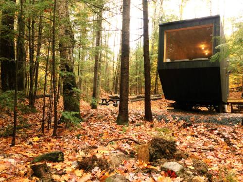 A modern cabin in a forest, surrounded by autumn leaves and trees, with a picnic table nearby.