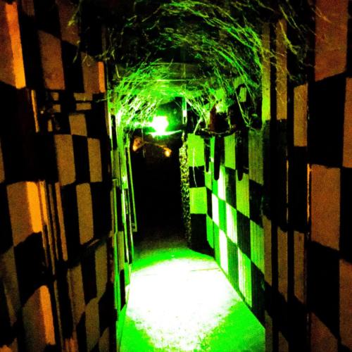 A dimly lit hallway with black and white checkered walls, illuminated by eerie green light and cobwebs.