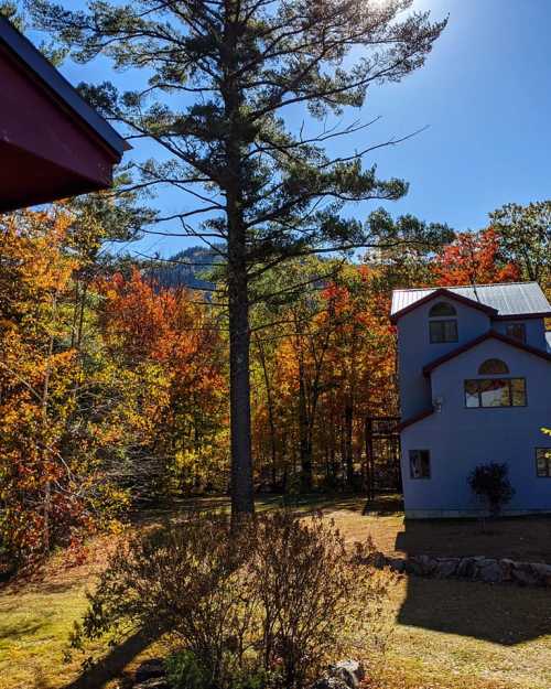 A blue house surrounded by vibrant autumn trees and a clear blue sky, with sunlight filtering through the leaves.