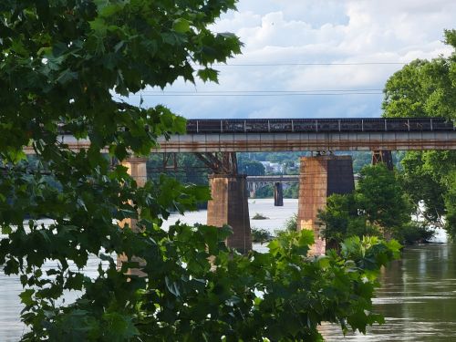 A train crosses a bridge over a river, framed by green leaves and a cloudy sky in the background.