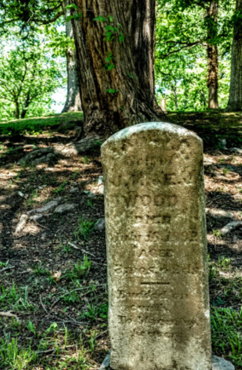 A weathered gravestone in a grassy area, surrounded by trees, with inscriptions partially visible.