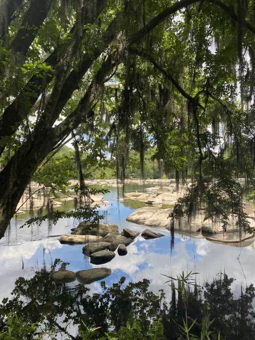 A serene river scene with moss-covered trees, smooth rocks, and reflections of clouds in the water.