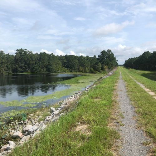 A serene pathway alongside a calm lake, bordered by lush greenery and trees under a cloudy sky.