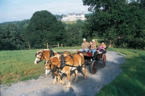 A horse-drawn carriage with passengers travels along a gravel path, with a large mansion in the background.