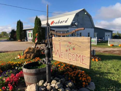 A rustic "Welcome" sign in front of a farm building, surrounded by flowers and pumpkins on a sunny day.