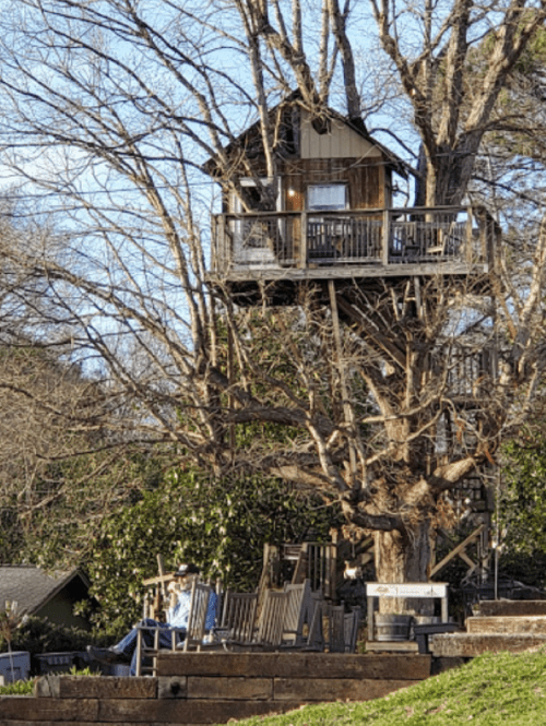 A treehouse perched high in a tree, surrounded by bare branches and a grassy area below.
