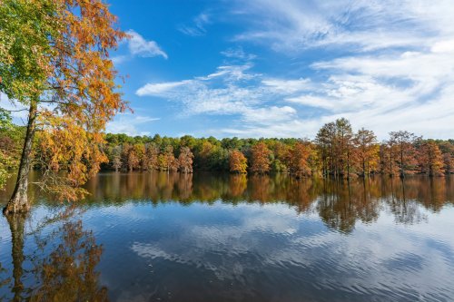 A serene lake surrounded by trees in autumn colors, reflecting the blue sky and clouds above.