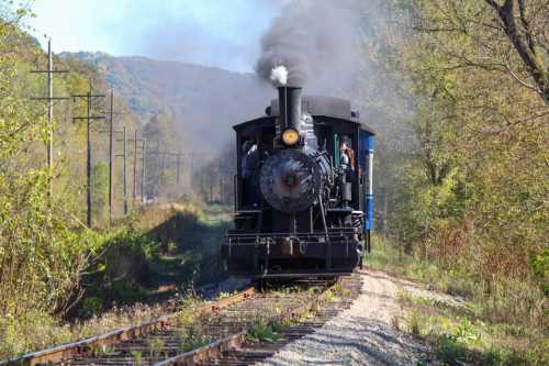 A vintage steam train chugs along a rural track, surrounded by trees and hills, with smoke billowing from its chimney.