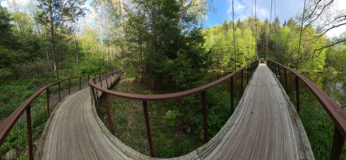 A winding wooden bridge surrounded by lush greenery and trees under a bright blue sky.