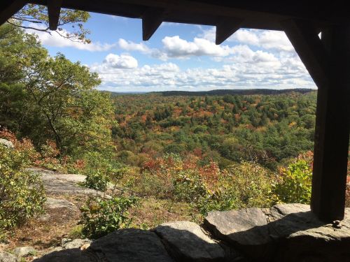 A scenic view of a colorful forest landscape framed by a wooden structure, with clouds in a blue sky above.