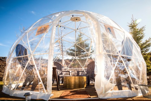 A clear geodesic dome with seating and a table inside, set in a sunny outdoor area surrounded by trees.