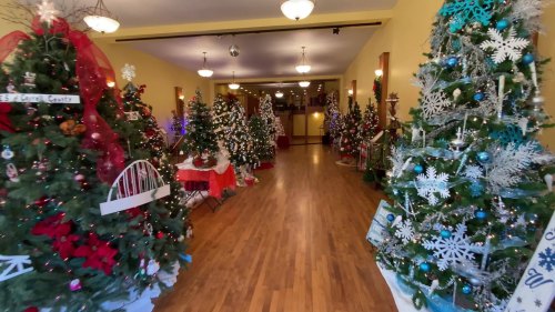 A festive hallway lined with decorated Christmas trees and holiday decorations, creating a cheerful atmosphere.