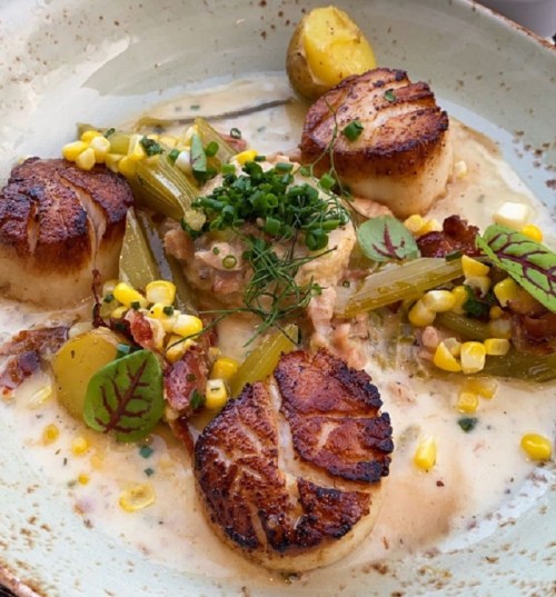 A plate of seared scallops with potatoes, corn, celery, and herbs in a creamy sauce, garnished with microgreens.