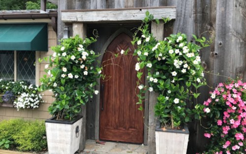 A wooden door framed by two tall planters with white flowers, set against a rustic wooden wall.