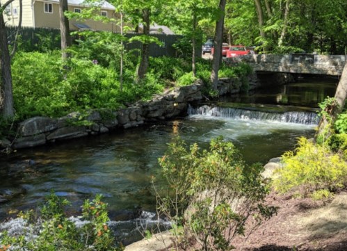 A serene stream flows under a stone bridge, surrounded by lush greenery and trees.