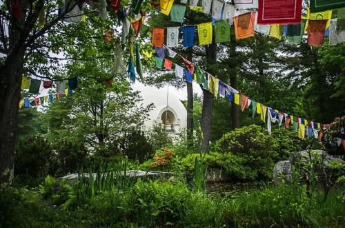 A serene garden scene with colorful prayer flags hanging between trees, leading to a white building in the background.