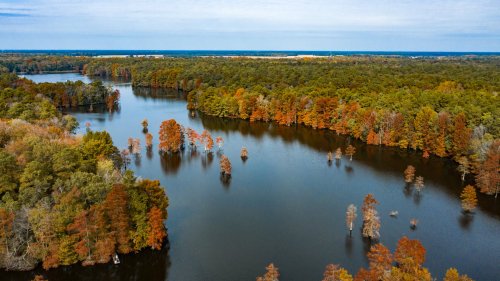 Aerial view of a serene lake surrounded by autumn-colored trees and calm waters reflecting the landscape.